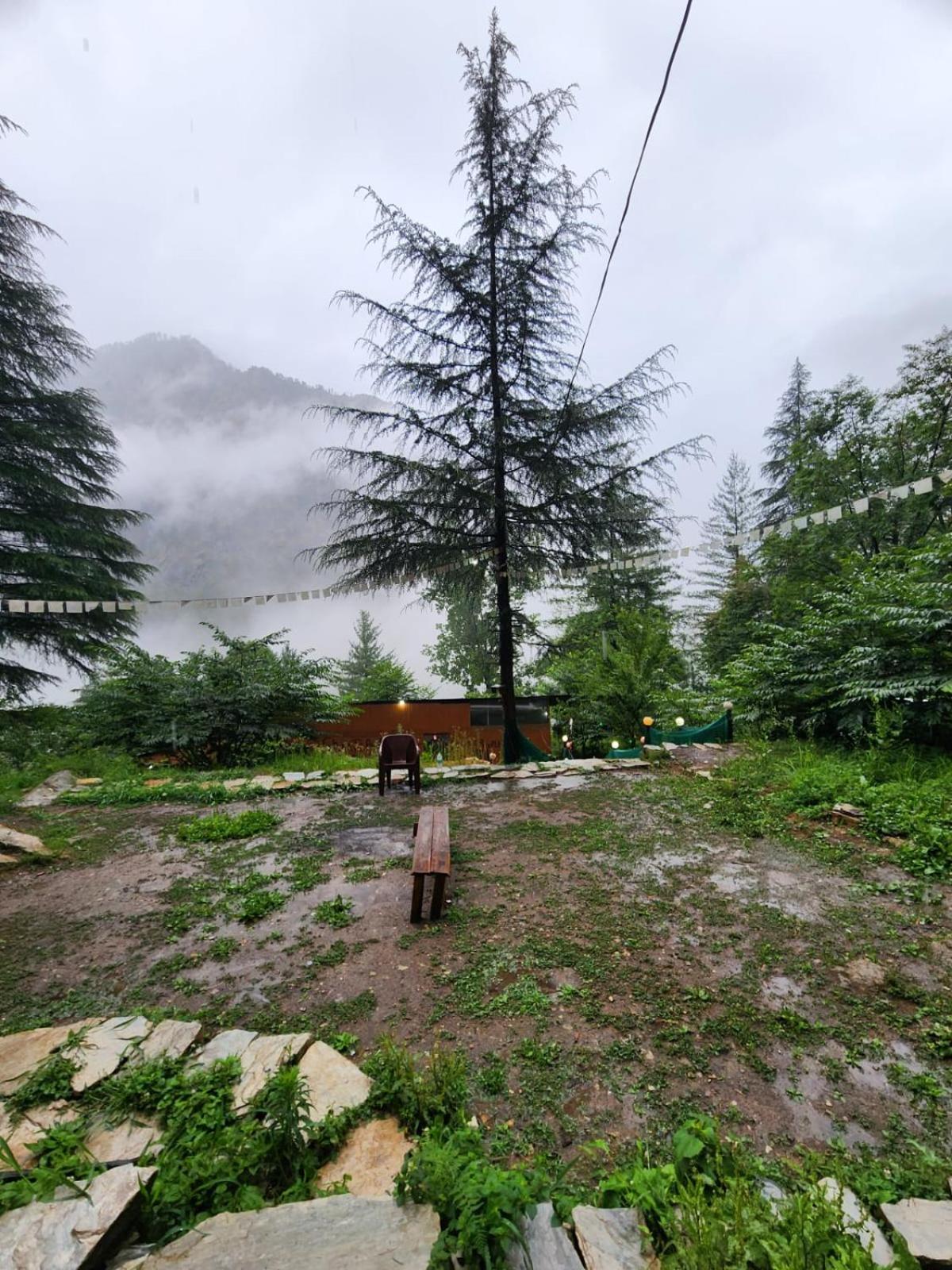 Wolf Stays Kasol Exterior photo