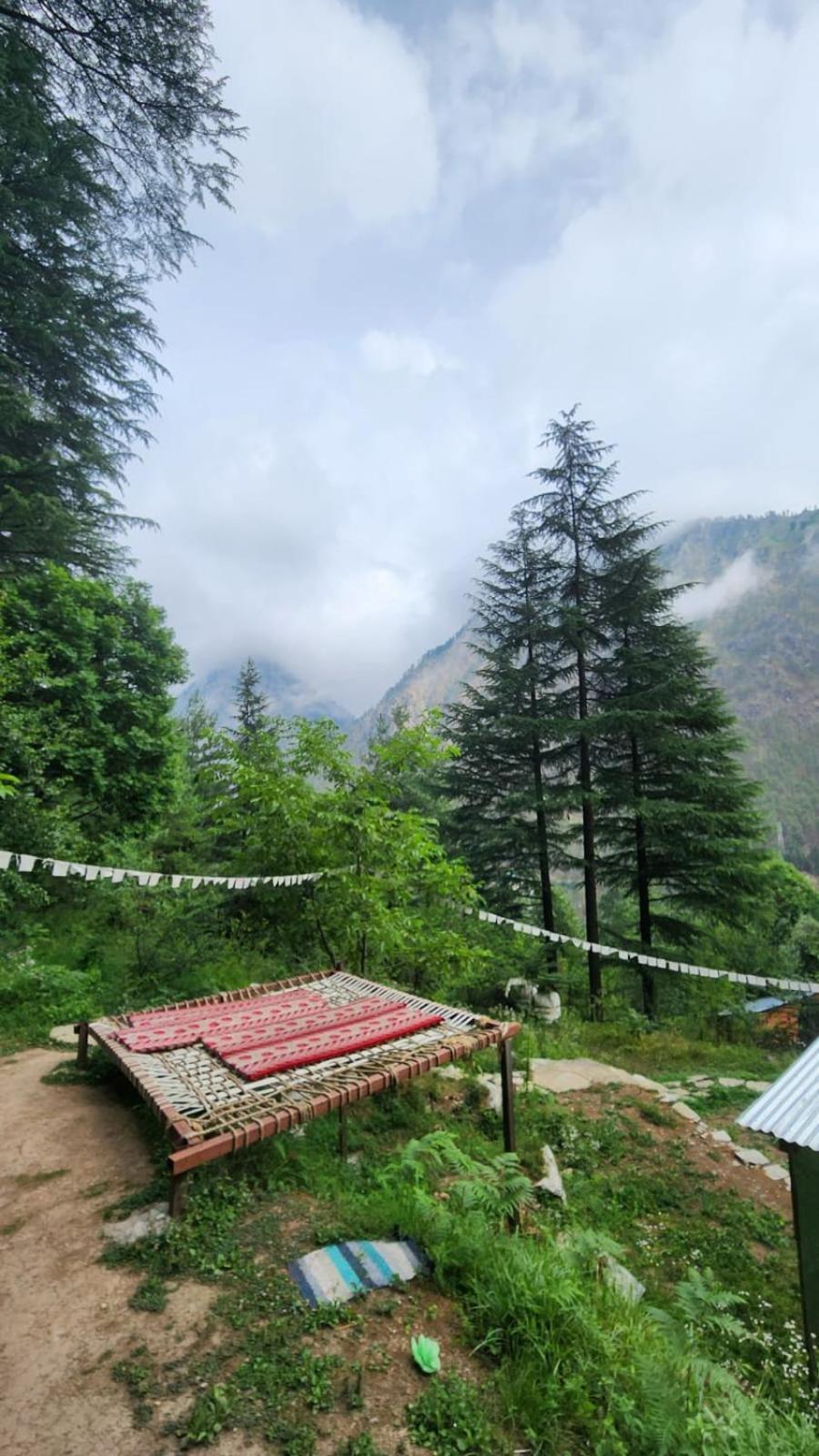 Wolf Stays Kasol Exterior photo