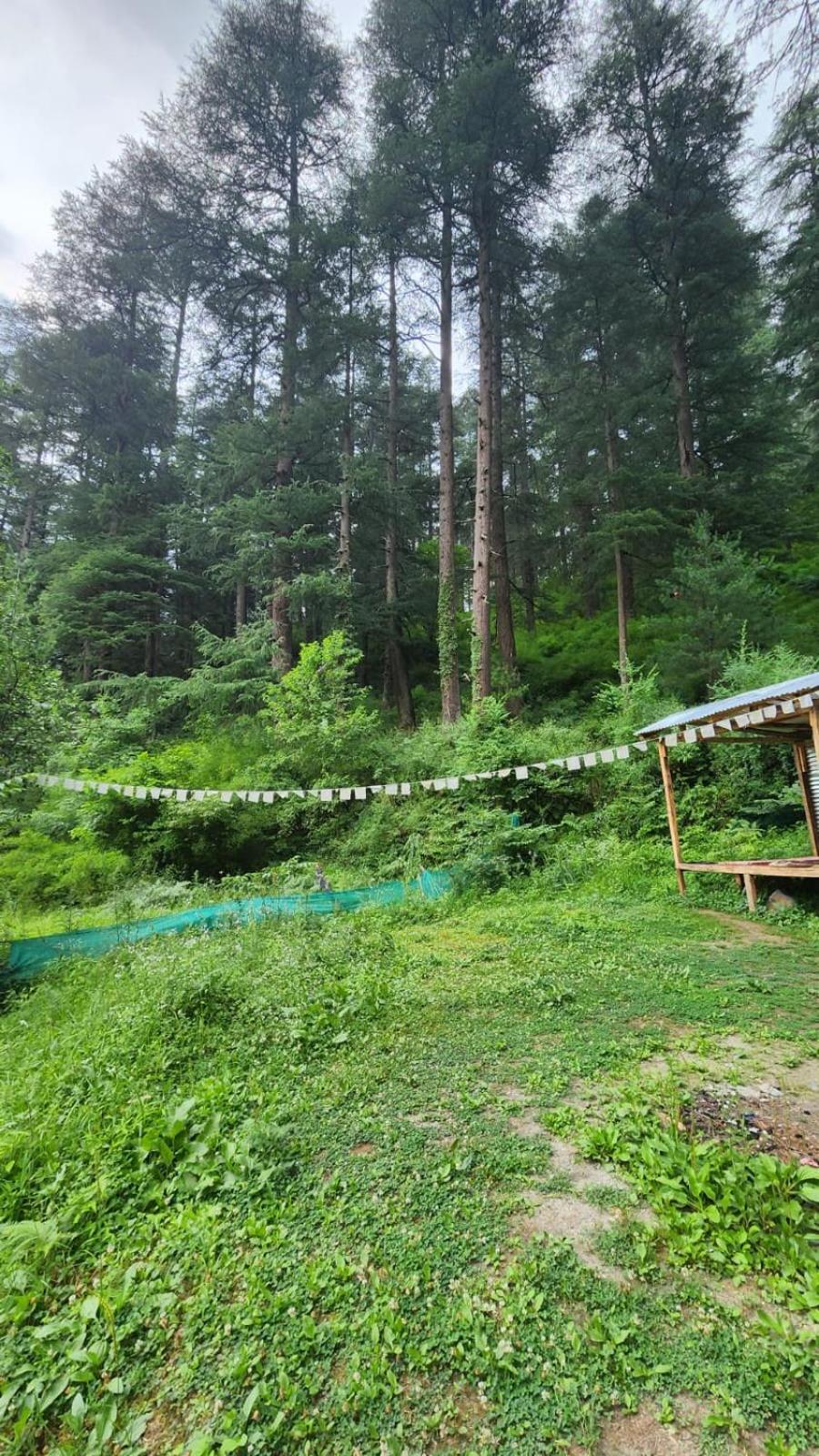 Wolf Stays Kasol Exterior photo