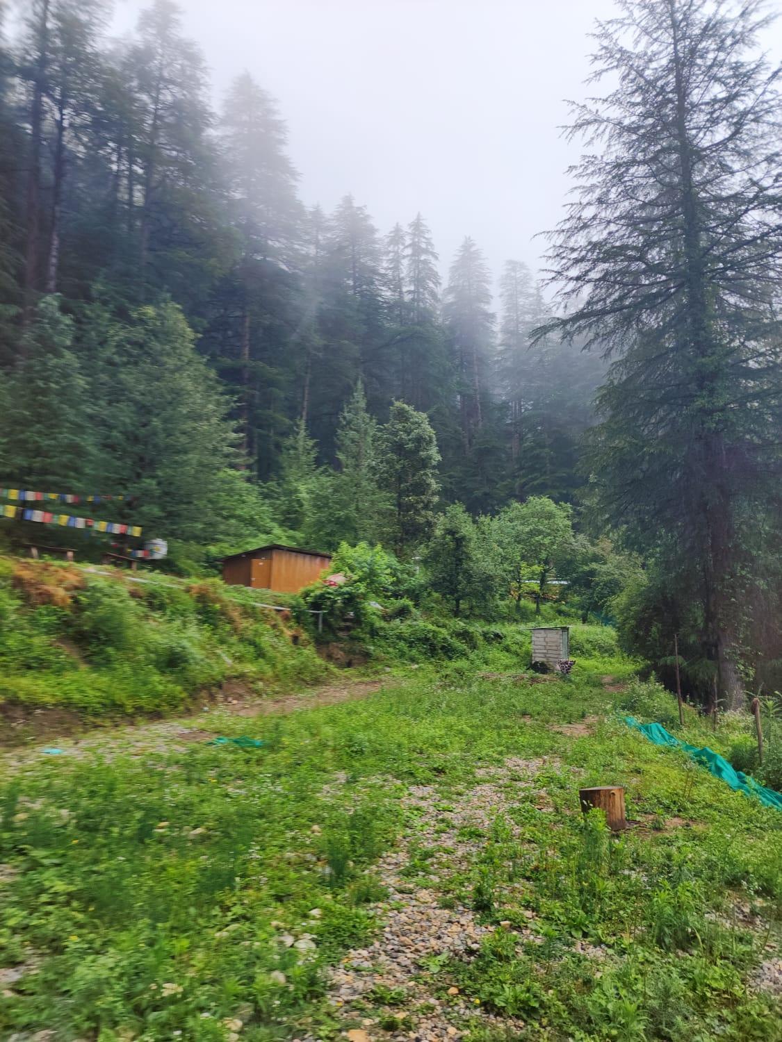 Wolf Stays Kasol Exterior photo